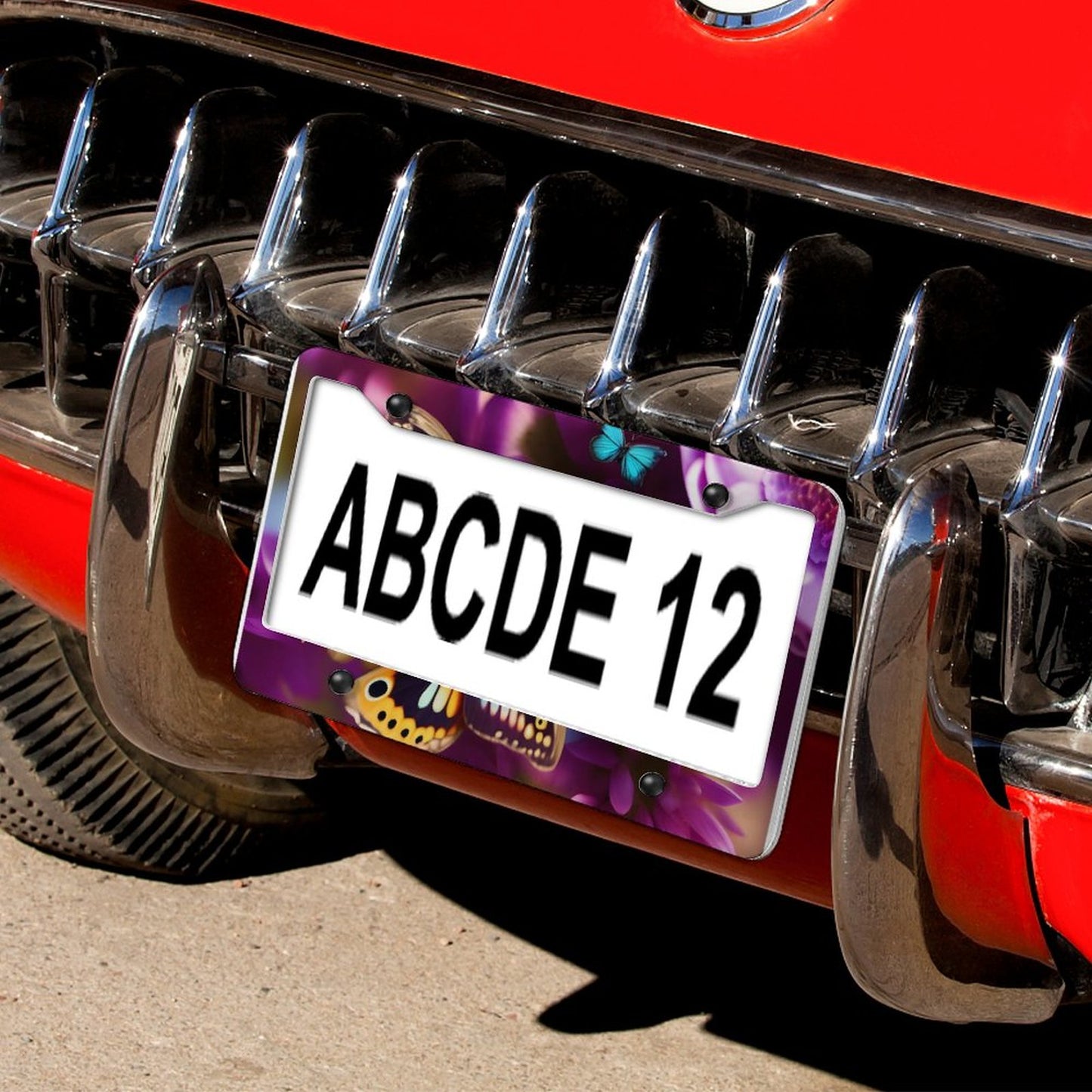 License Plate Frames with 4 Round Holes (1 Pair)