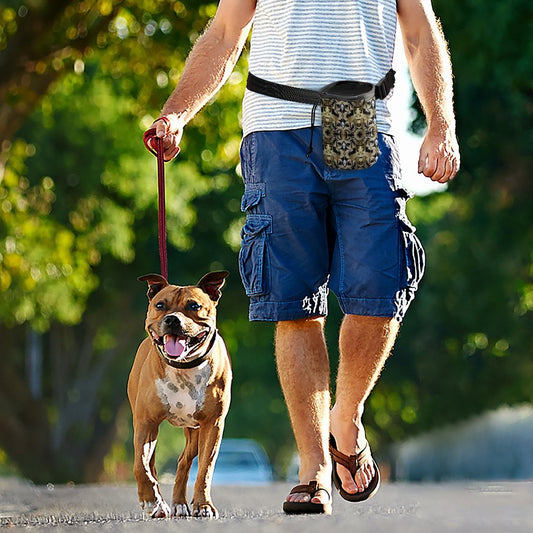 Dog Treat Training Storage Bag