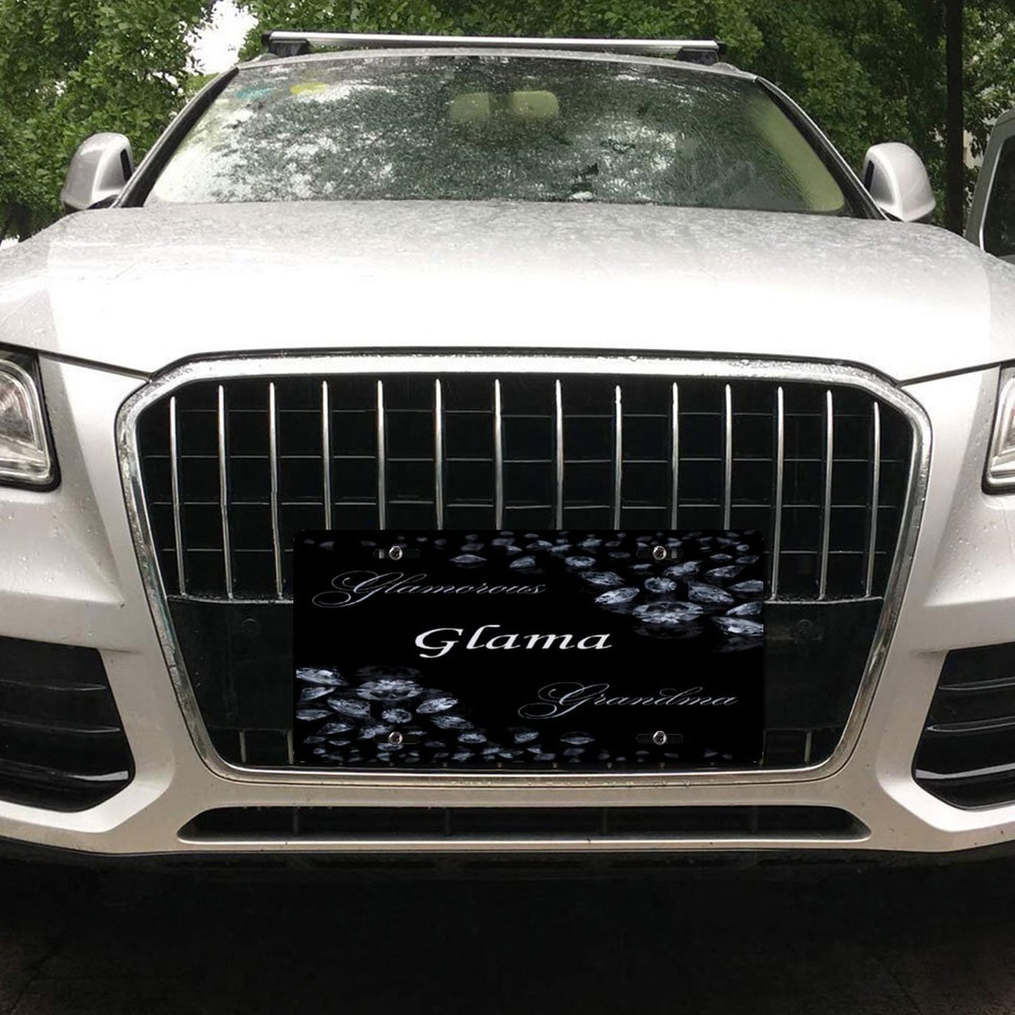 Car License Plate-11.8”x5.9”