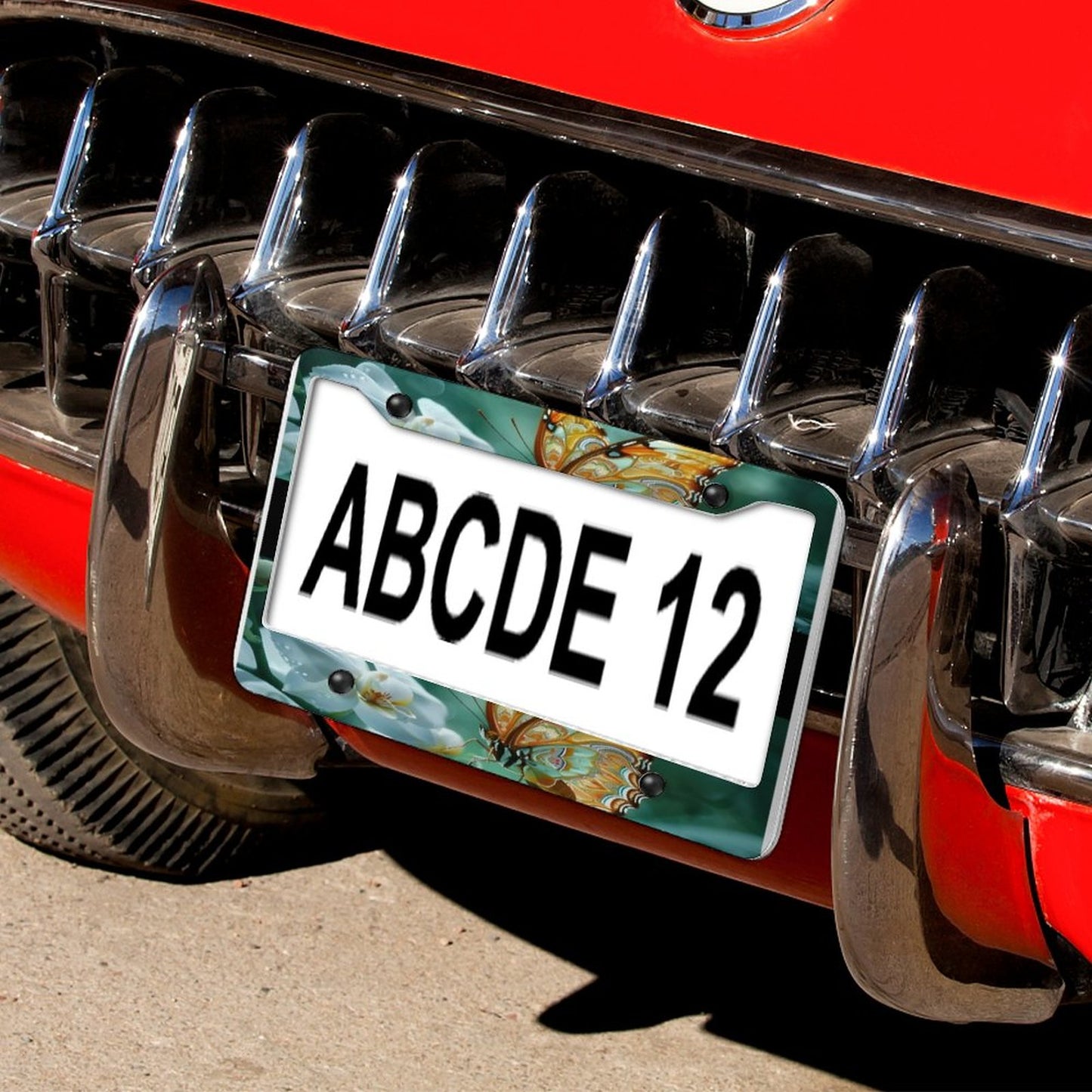 License Plate Frames with 4 Round Holes (1 Pair)