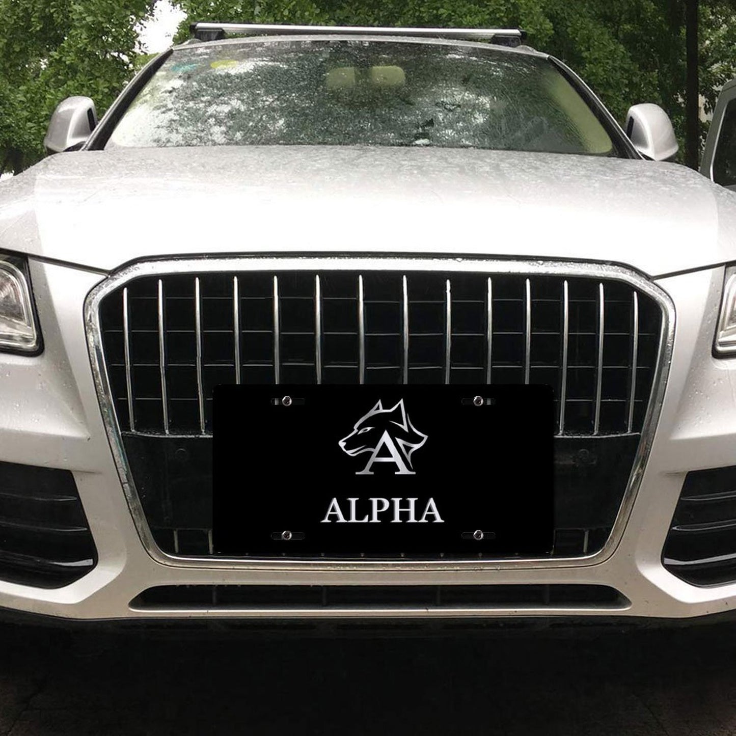 Car License Plate-11.8”x5.9”