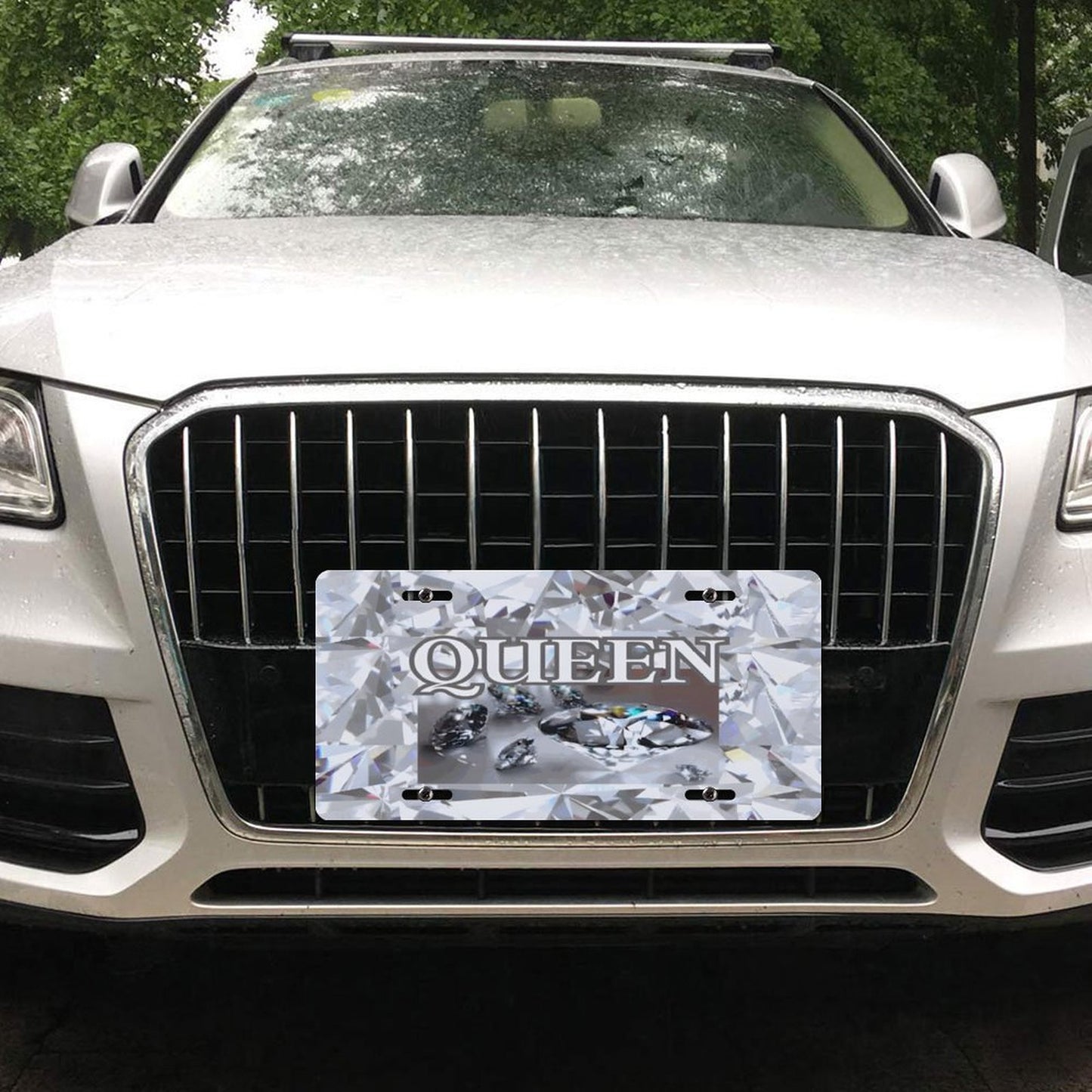 Car License Plate-11.8”x5.9”