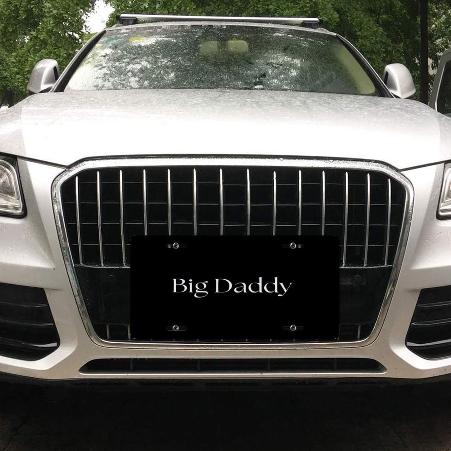 Car License Plate-11.8”x5.9”-BIG DADDY