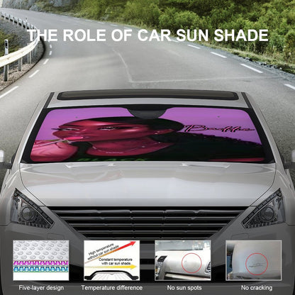 Car Cool with Sun Shades