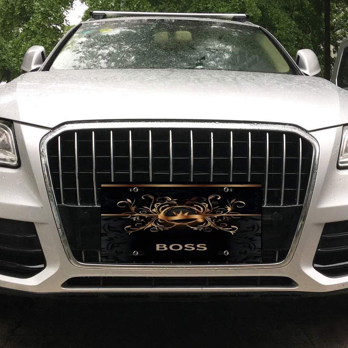 Car License Plate-11.8”x5.9”