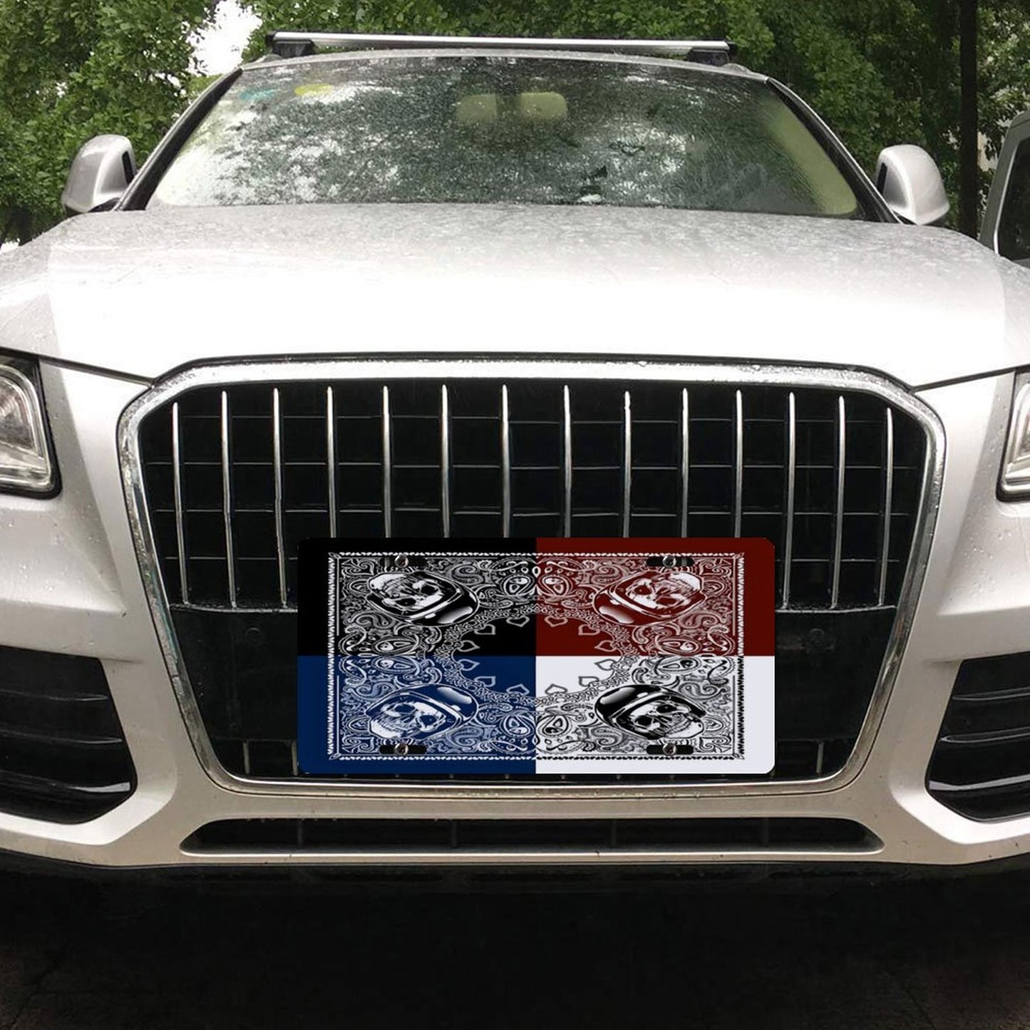 Car License Plate-11.8”x5.9”