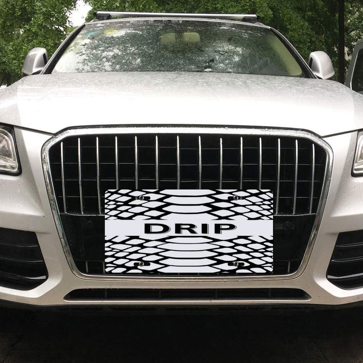Car License Plate-11.8”x5.9”
