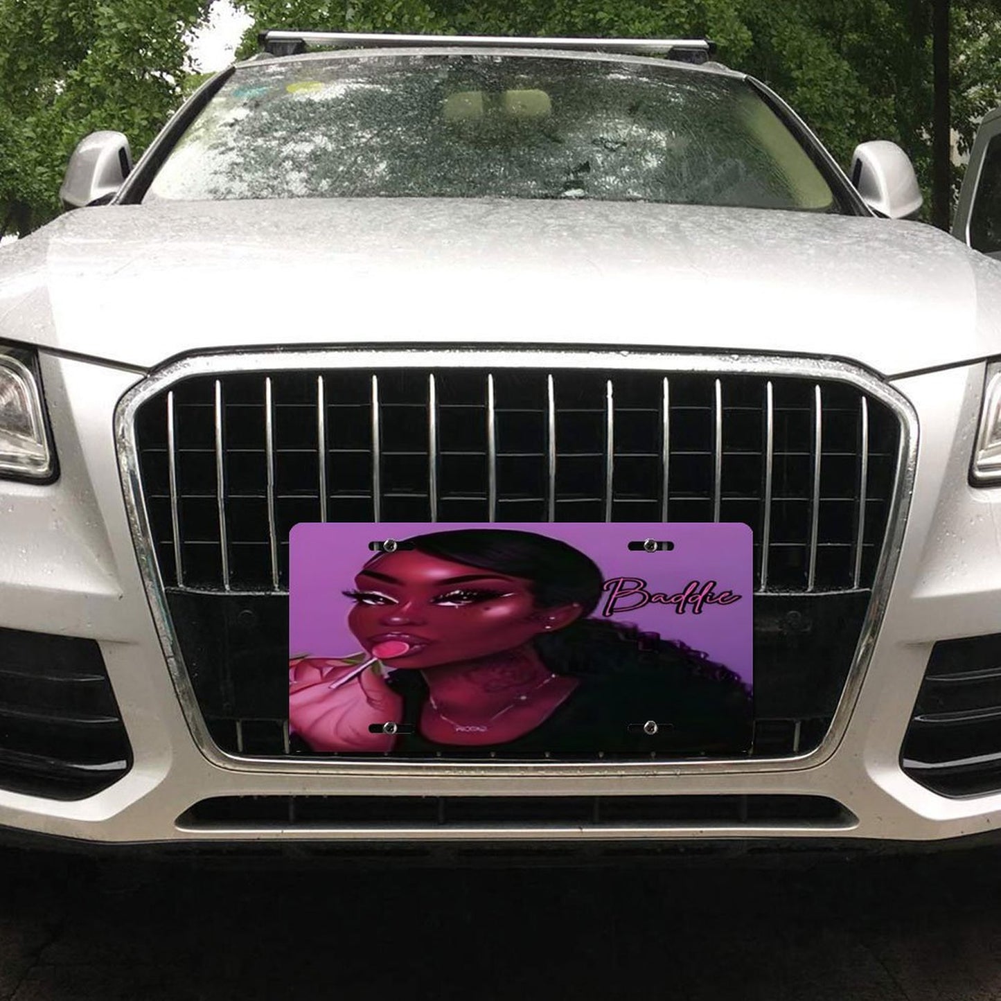 Car License Plate-11.8”x5.9”