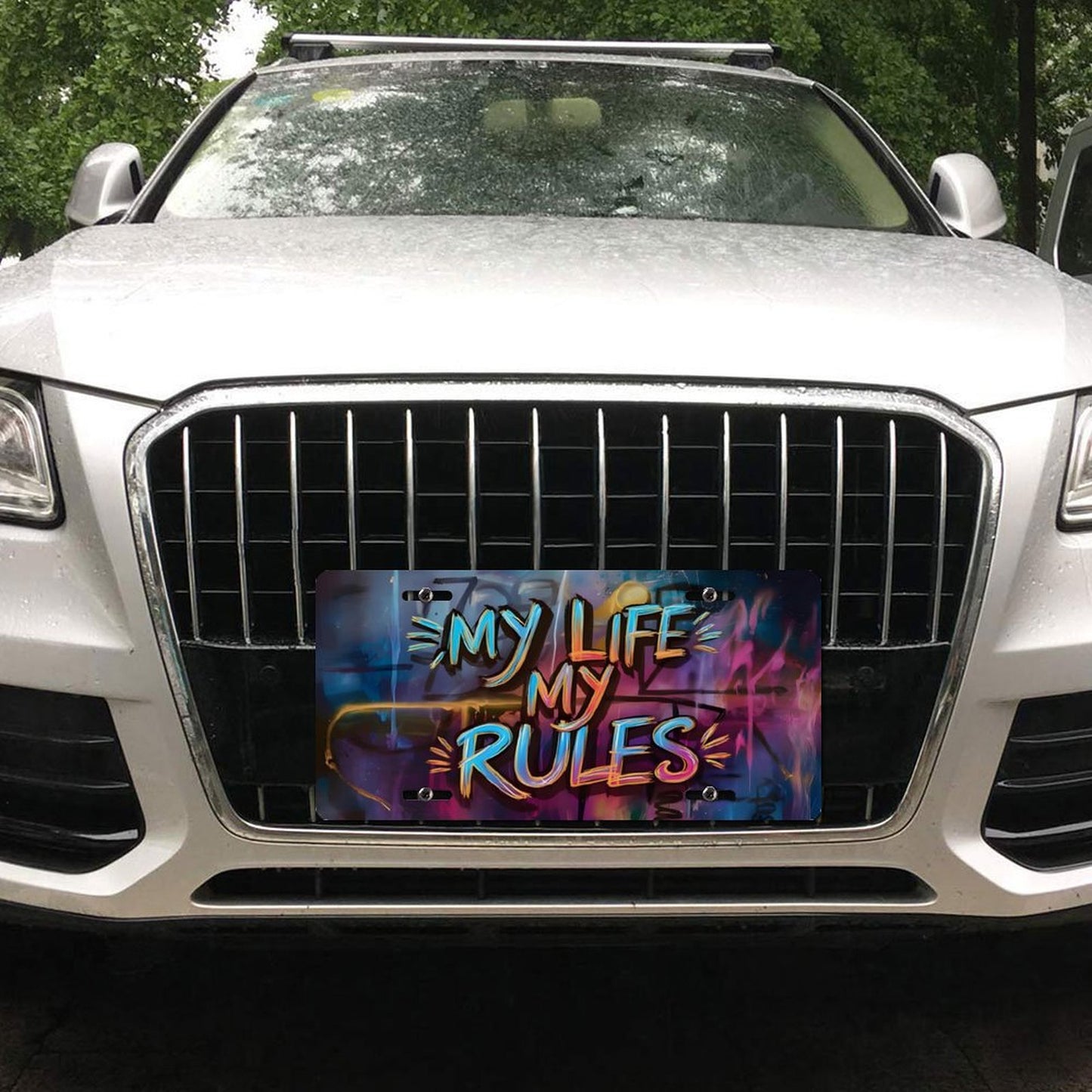 Car License Plate-11.8”x5.9”