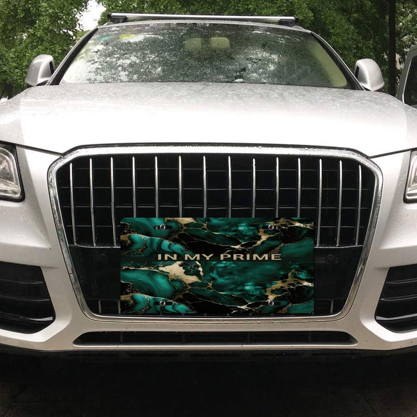 Car License Plate-11.8”x5.9”