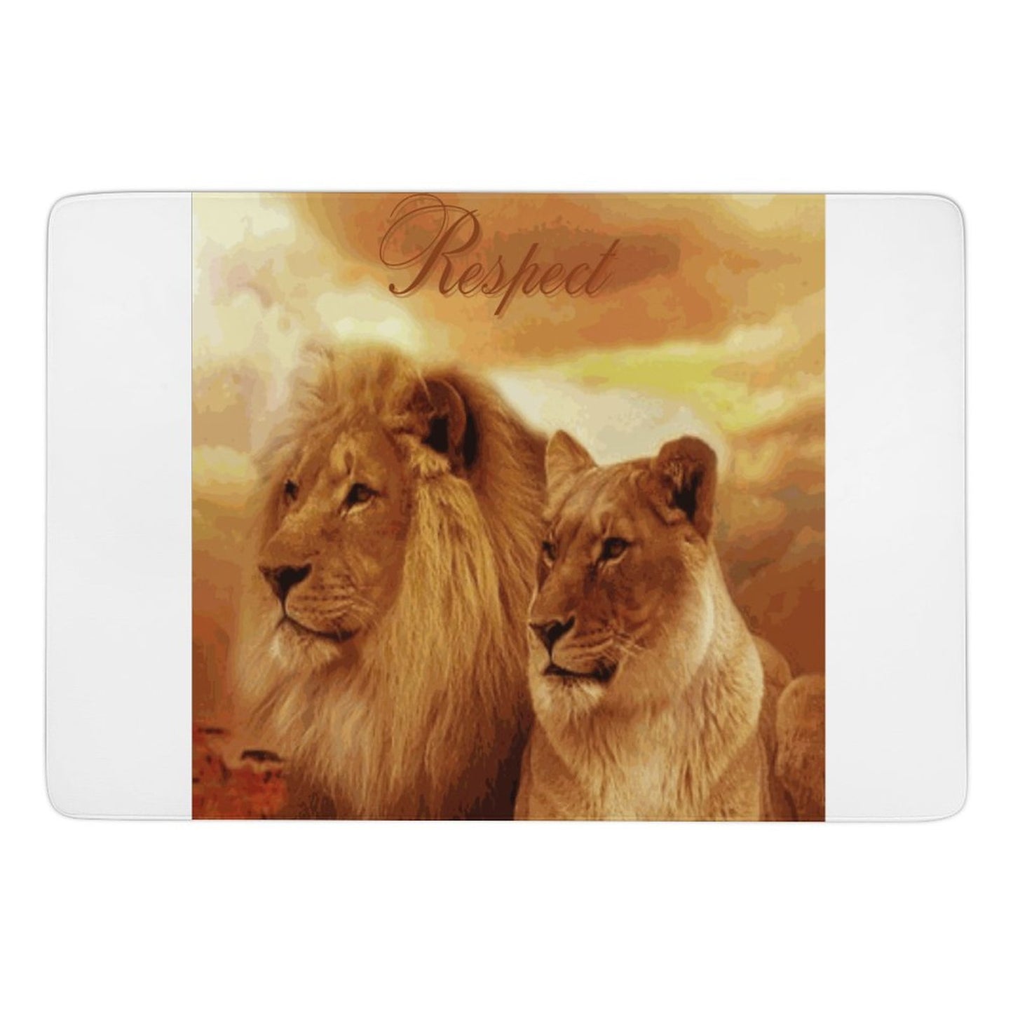 Coral Velvet Floor Mat for Home-60"x40"