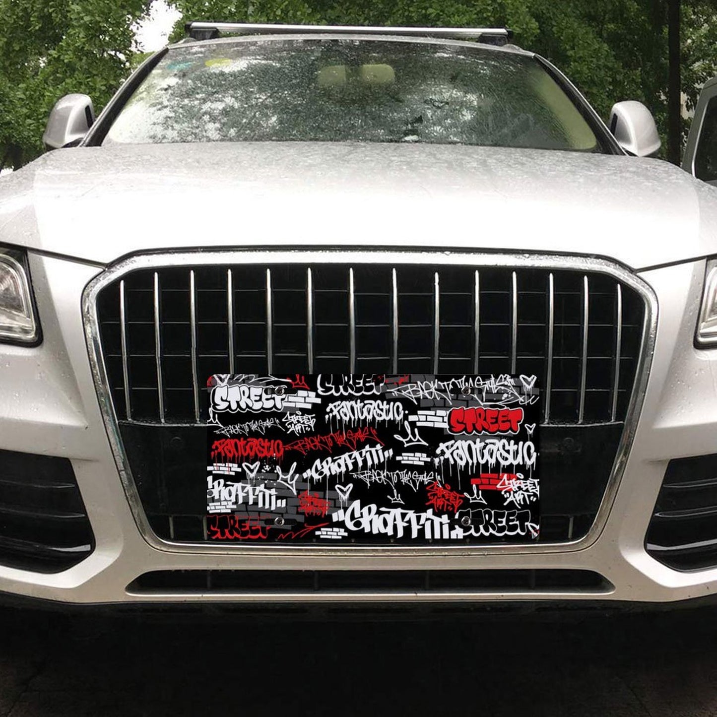 Car License Plate-11.8”x5.9”