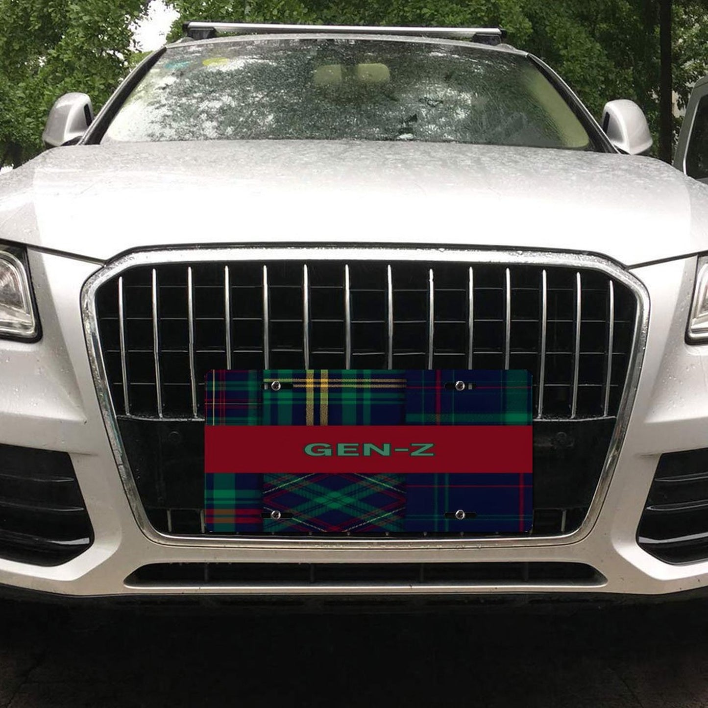 Car License Plate-11.8”x5.9”