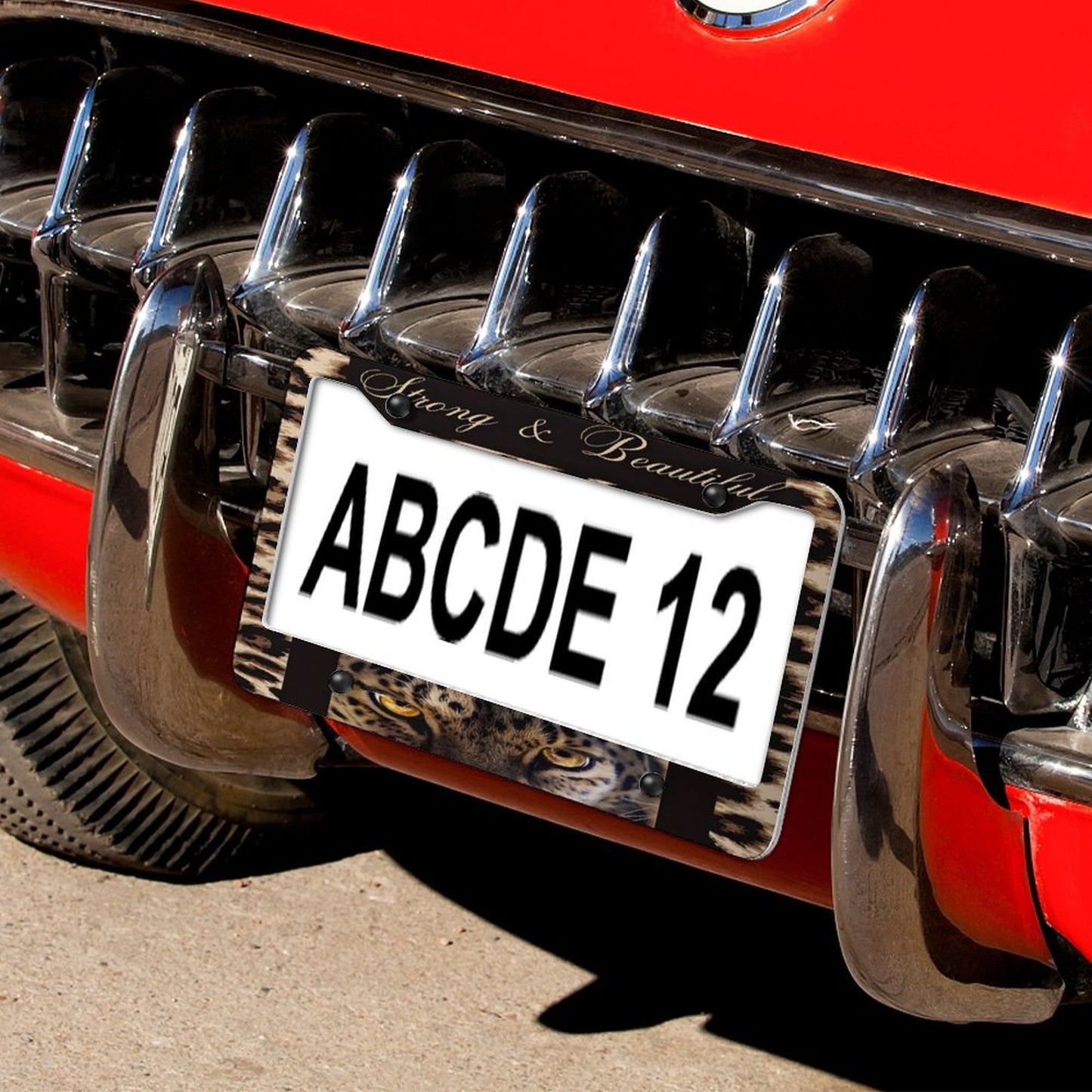 License Plate Frames with 4 Round Holes (1 Pair)