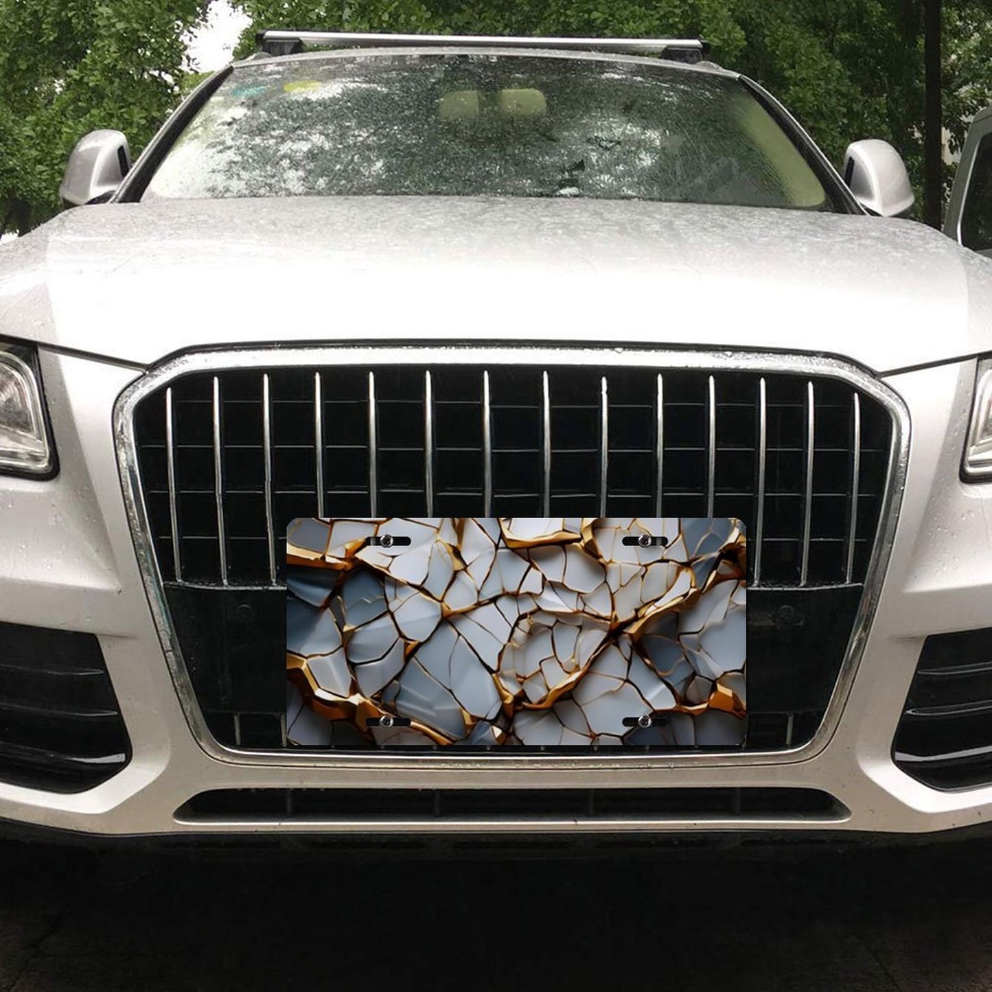 Car License Plate-11.8”x5.9”