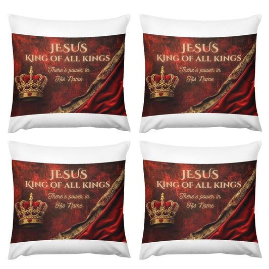 Plush Pillowcase Set of 4