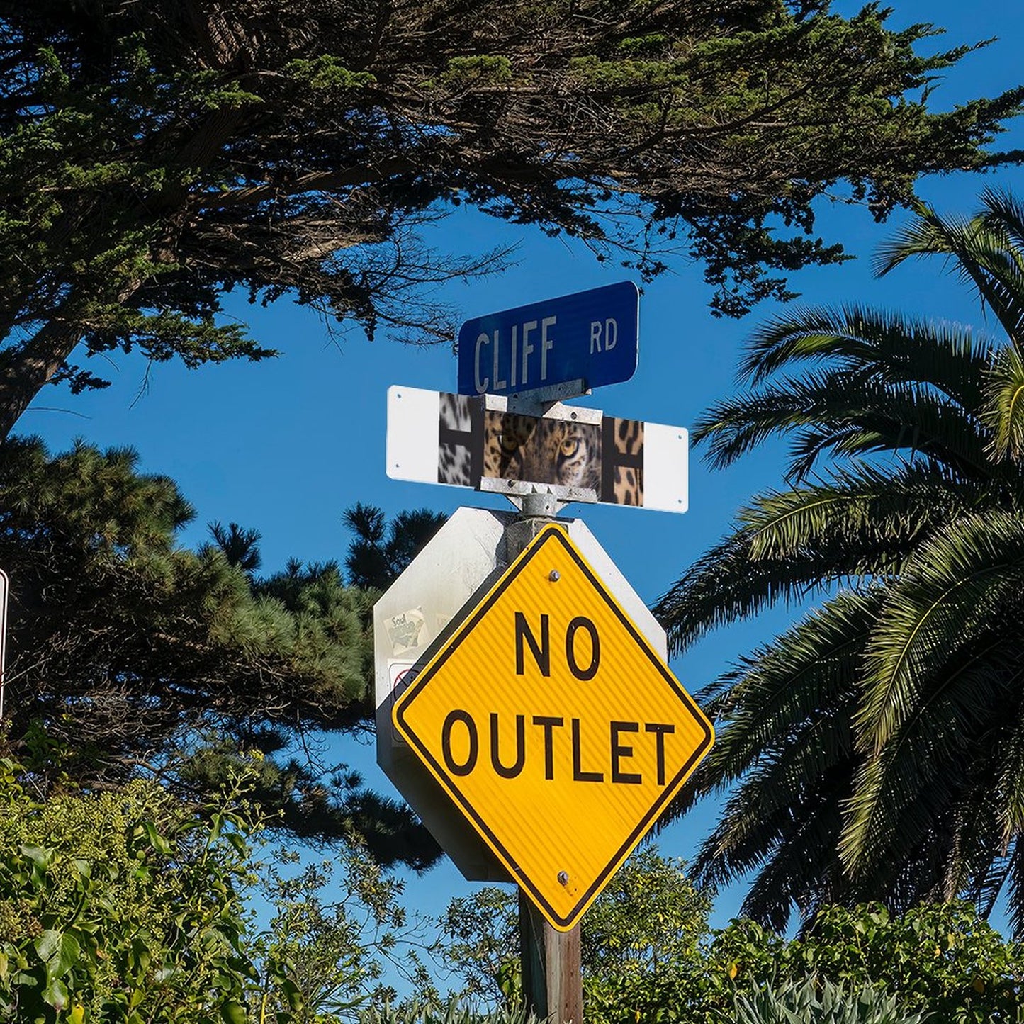Slim Metal Tin Sign