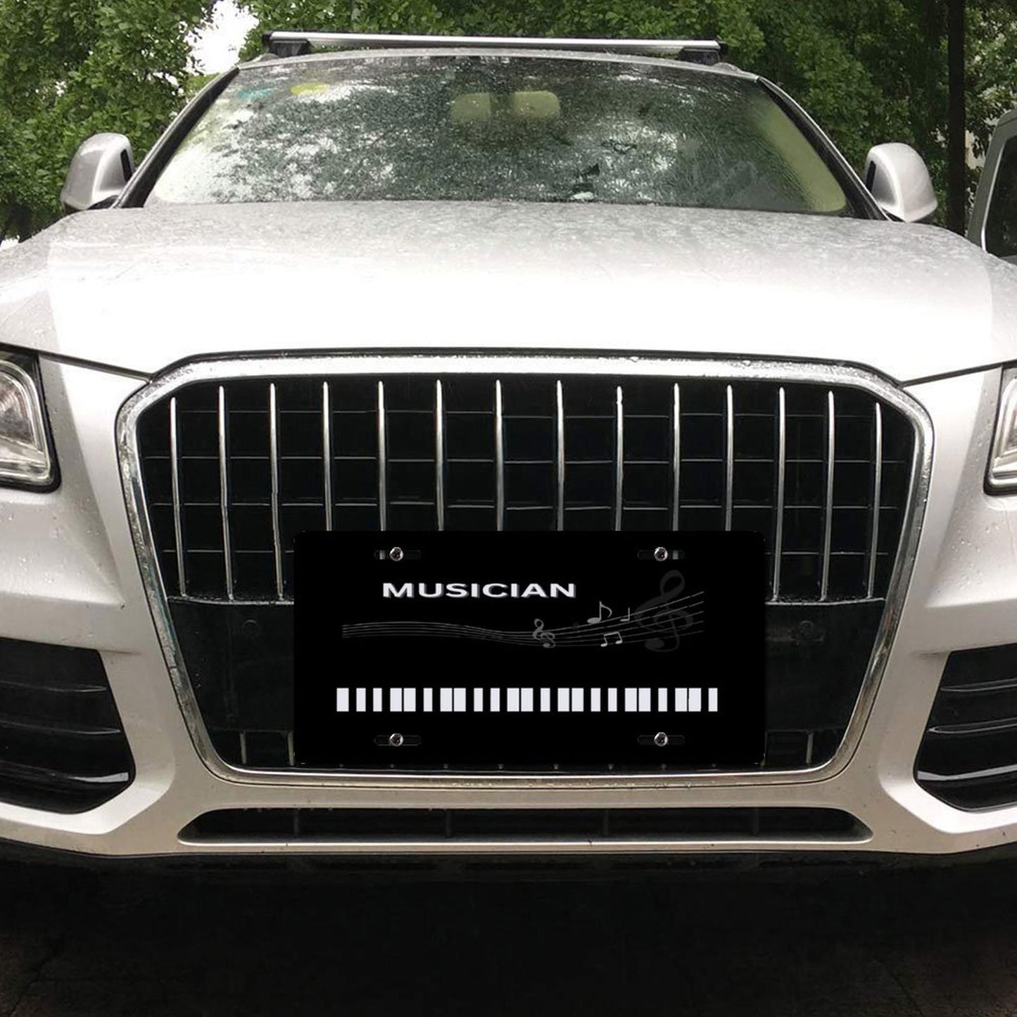 Car License Plate-11.8”x5.9”