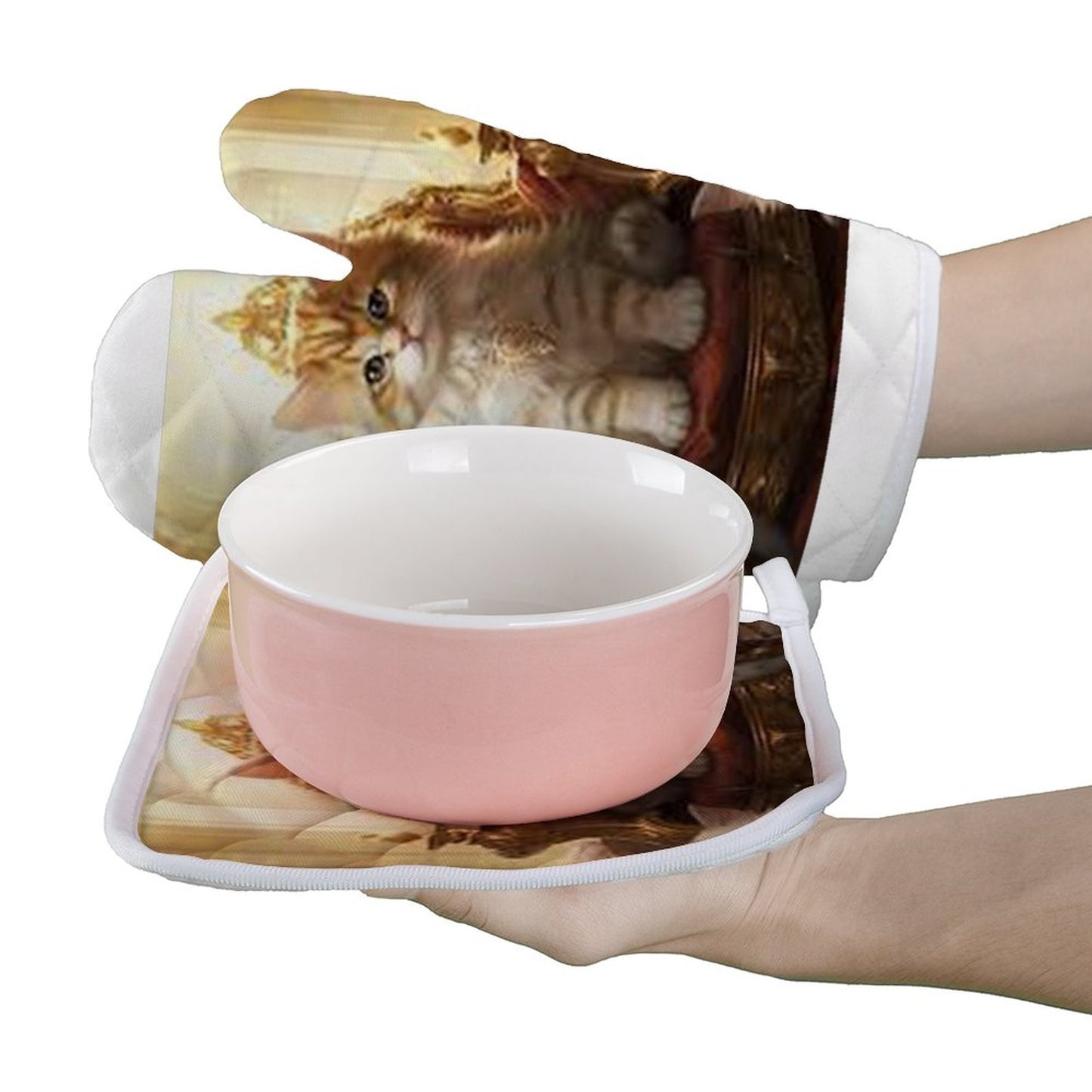 Oven Mitt Set of 2