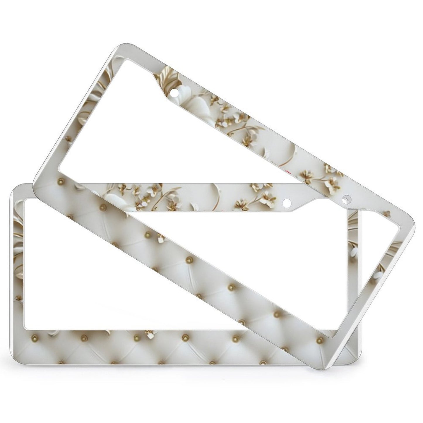 License Plate Frames with 2 Round Holes (1 Pair)