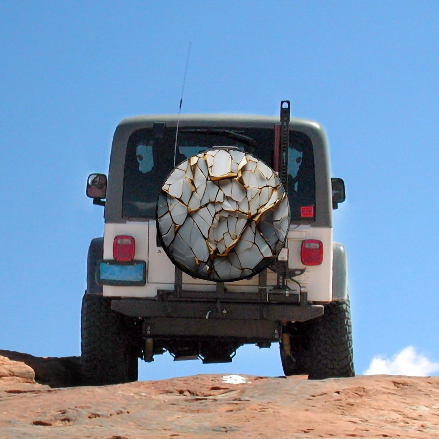 Oxford Cloth Tire Cover