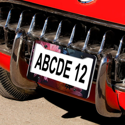 License Plate Frames with 4 Round Holes (1 Pair)