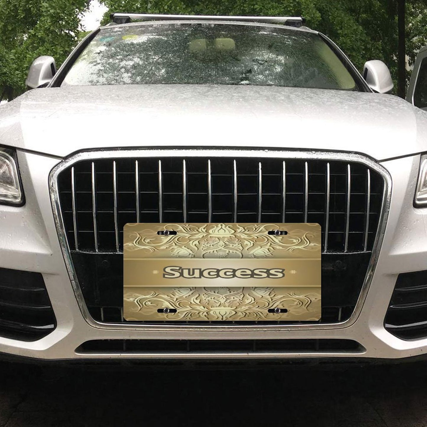 Car License Plate-11.8”x5.9”