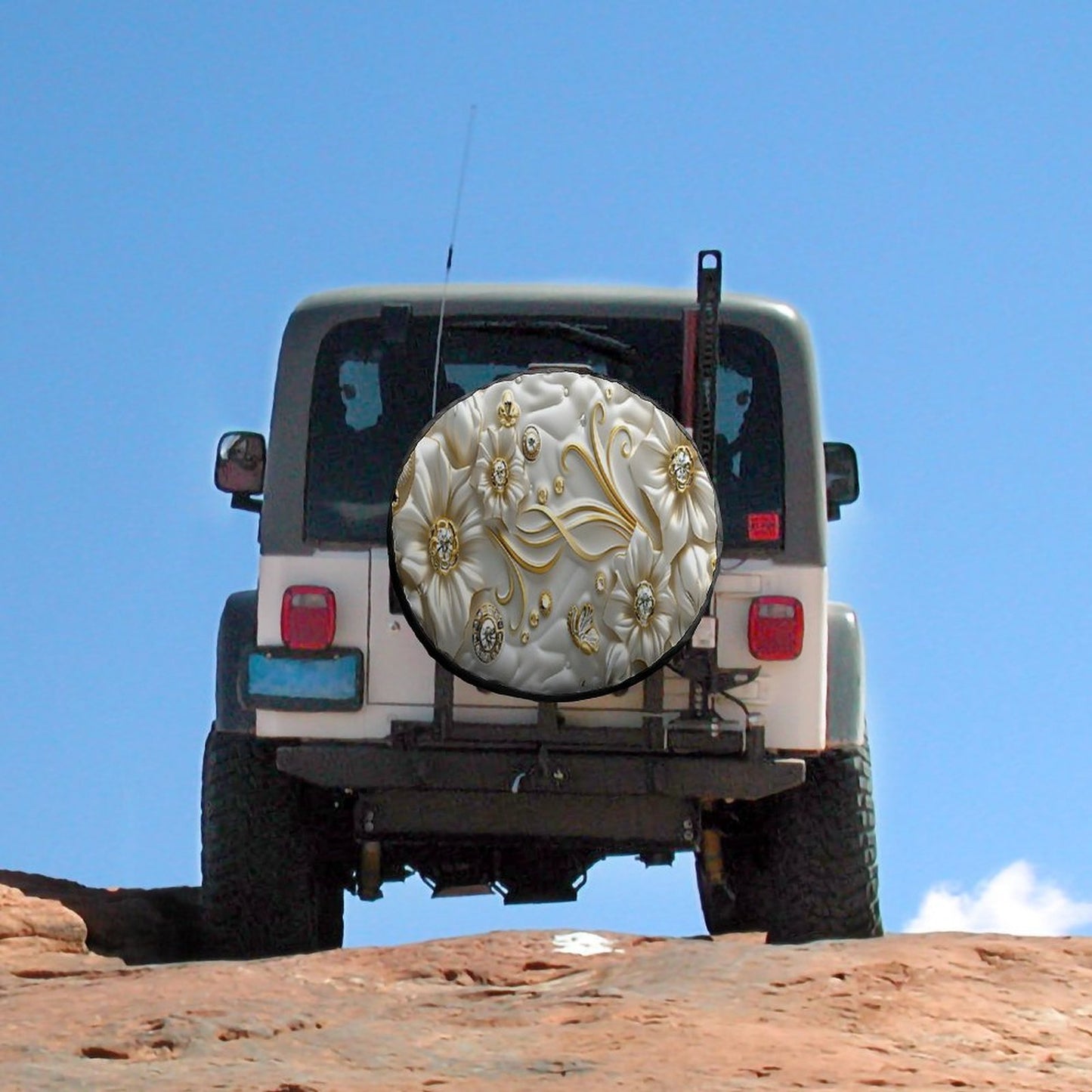 Oxford Cloth Tire Cover
