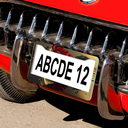 License Plate Frames with 4 Round Holes (1 Pair)