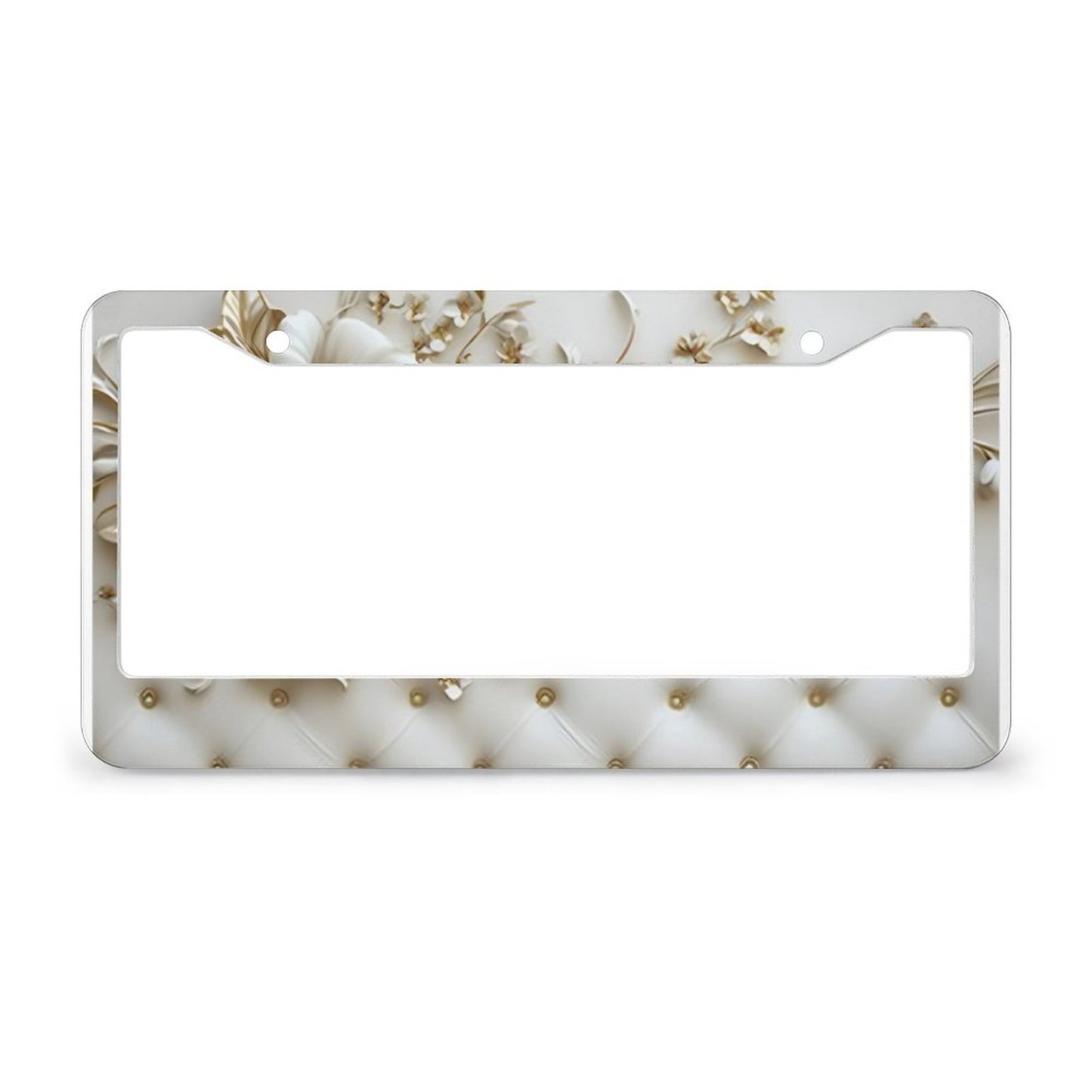 License Plate Frames with 2 Round Holes (1 Pair)