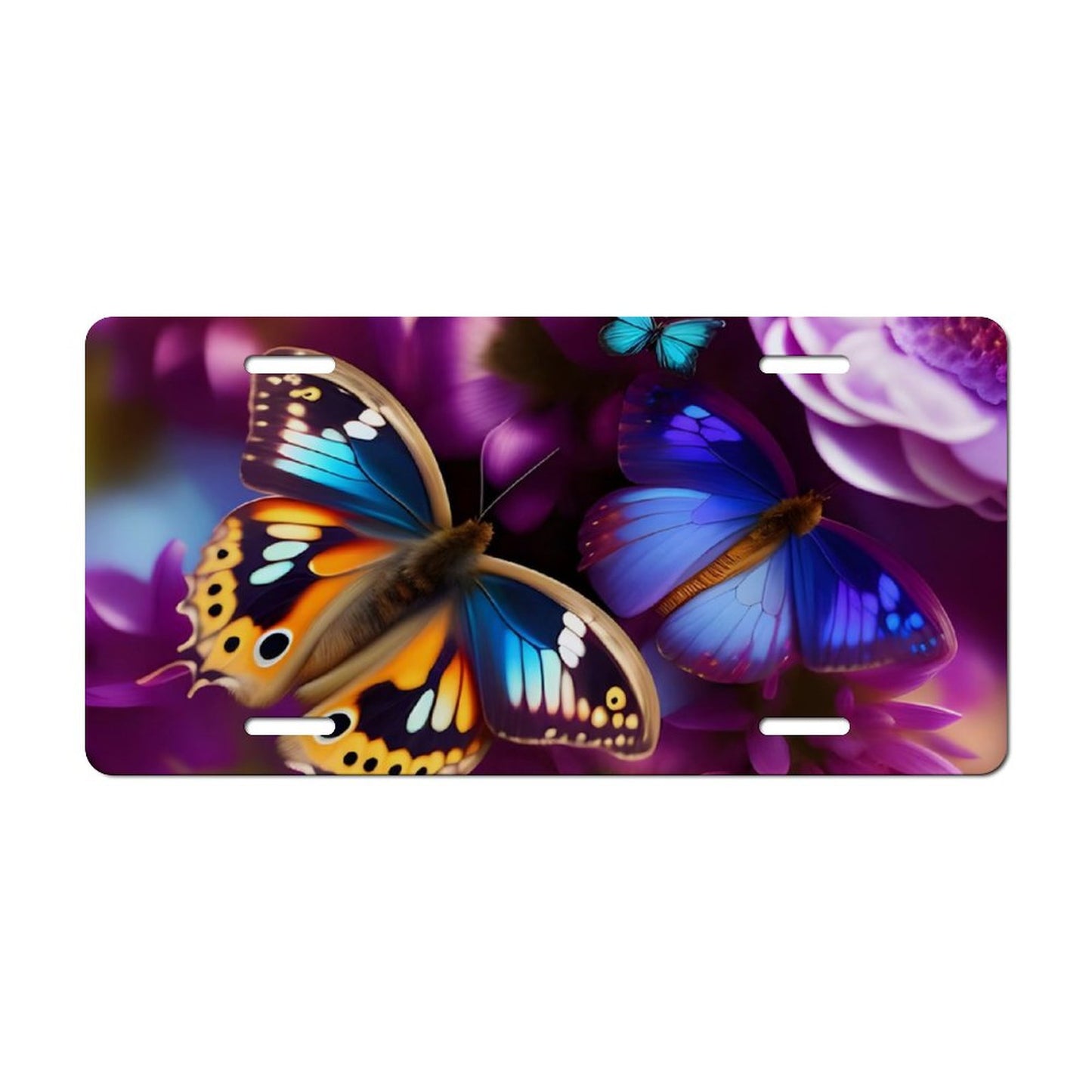 Car License Plate-11.8”x5.9”