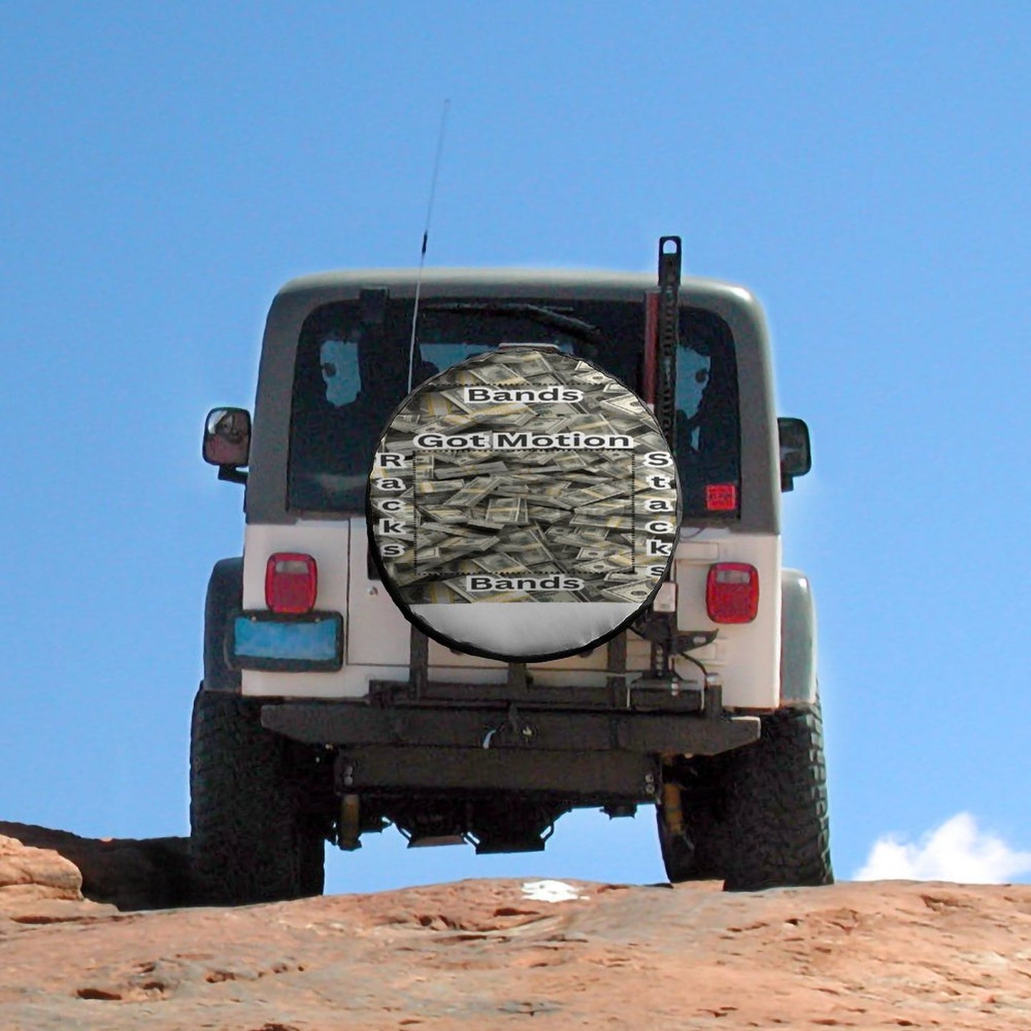 Oxford Cloth Tire Cover