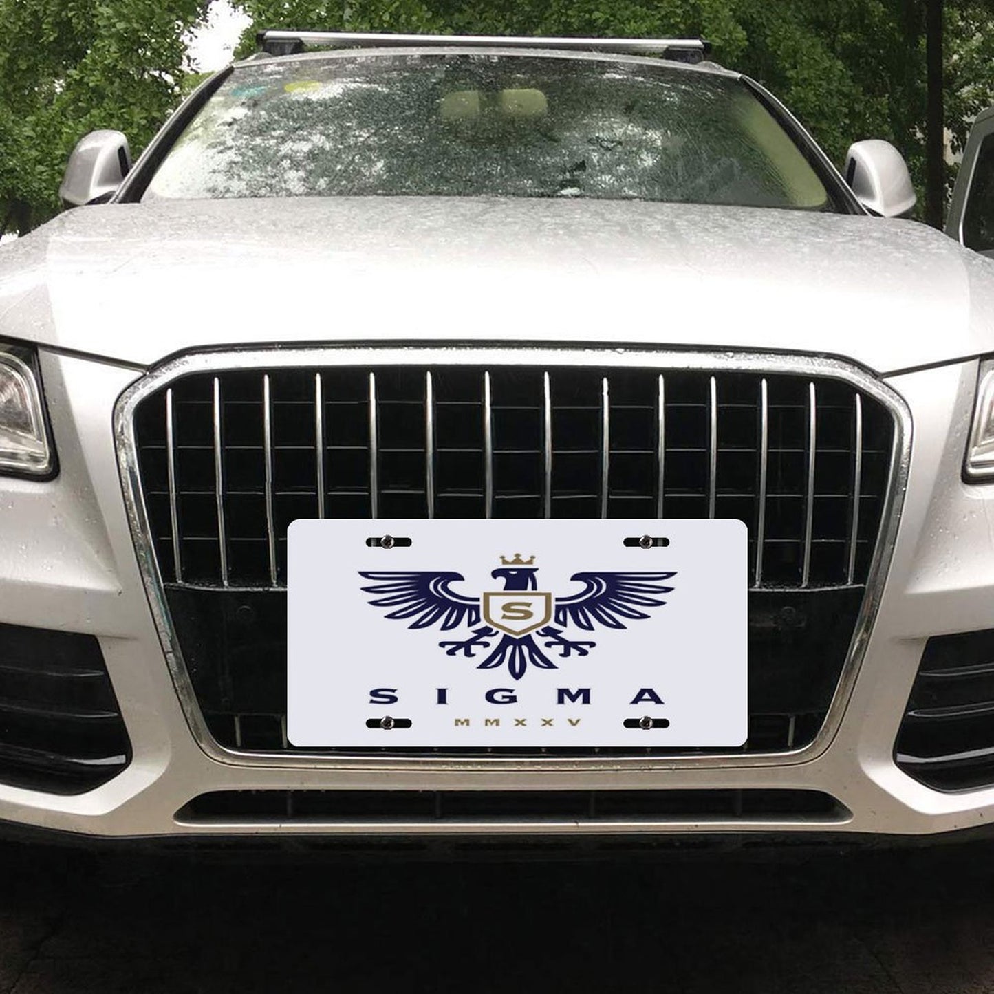 Car License Plate-11.8”x5.9”-SIGMA