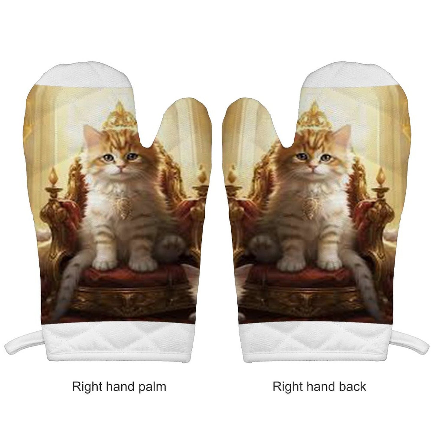 Oven Mitt Set of 2