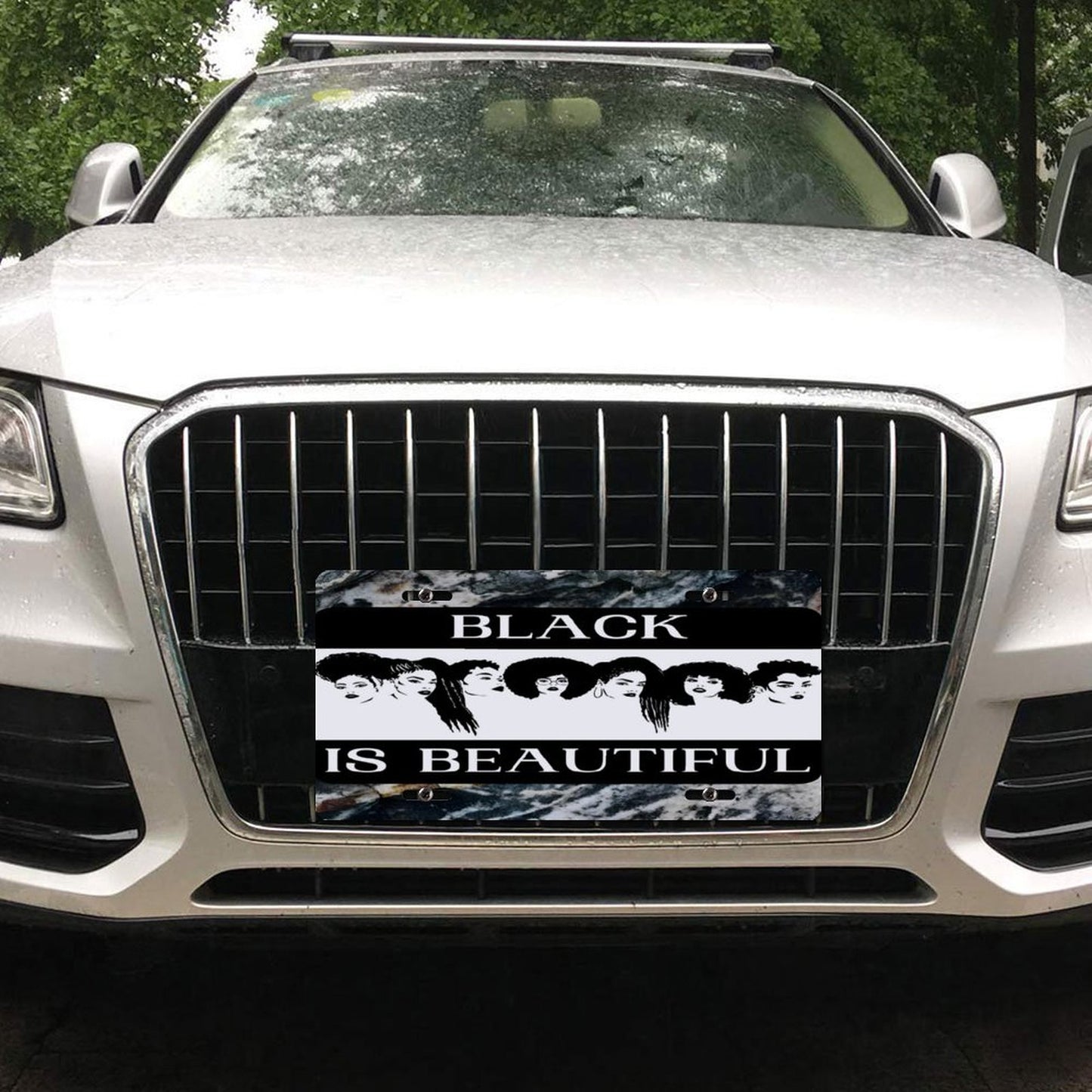 Car License Plate-11.8”x5.9”