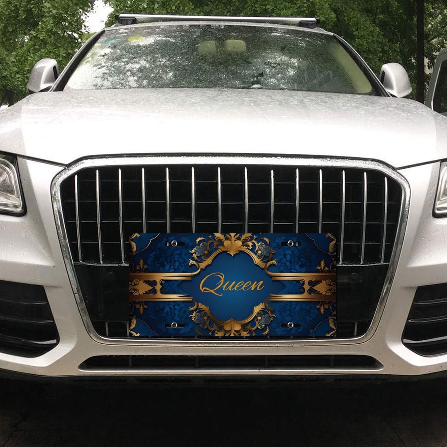 Car License Plate-11.8”x5.9”