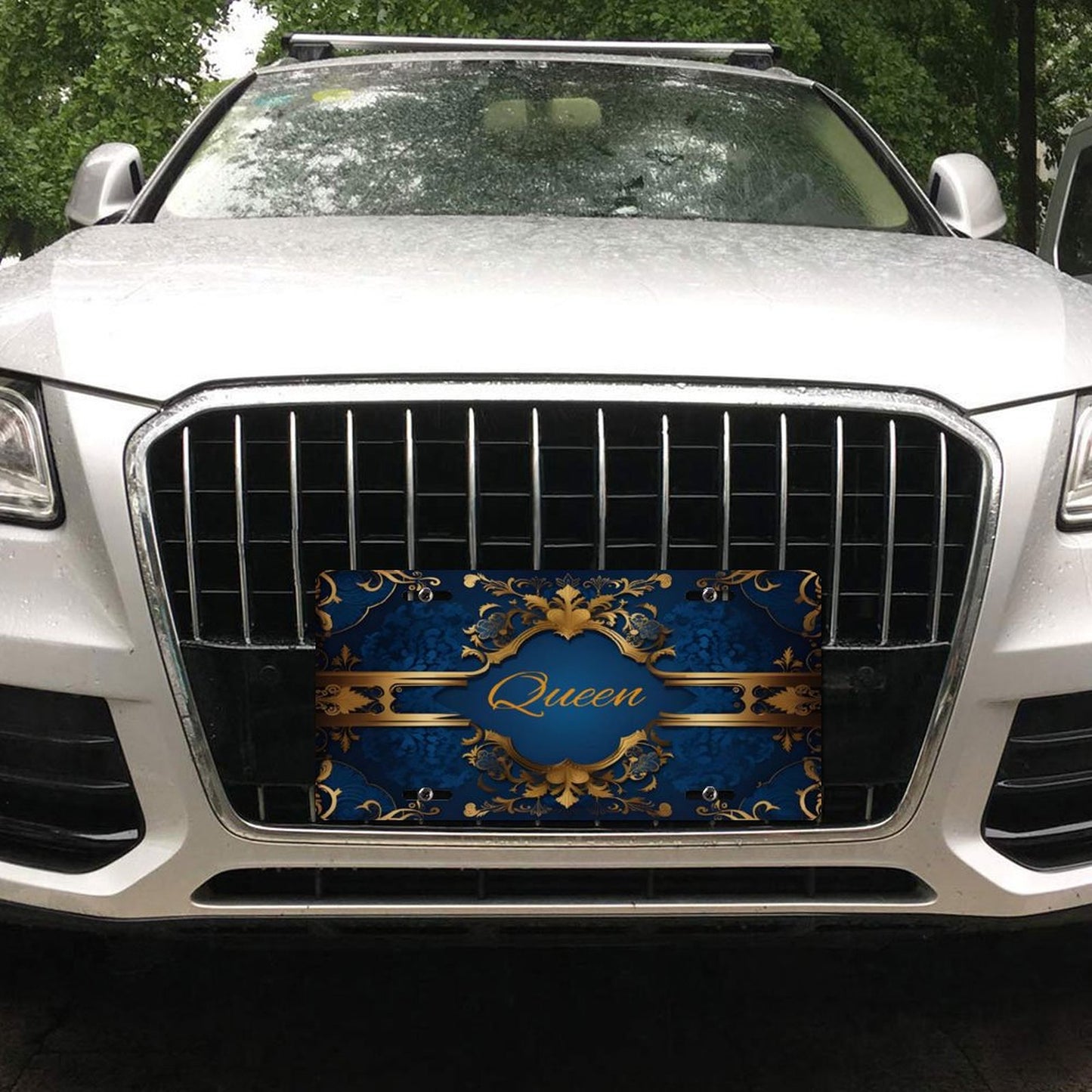 Car License Plate-11.8”x5.9”