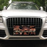 Car License Plate-11.8”x5.9”