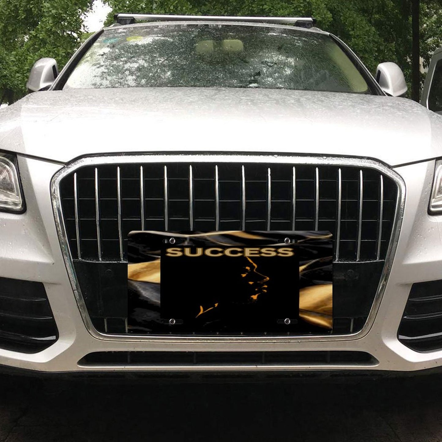 Car License Plate-11.8”x5.9”
