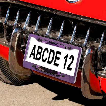 License Plate Frames with 4 Round Holes (1 Pair)