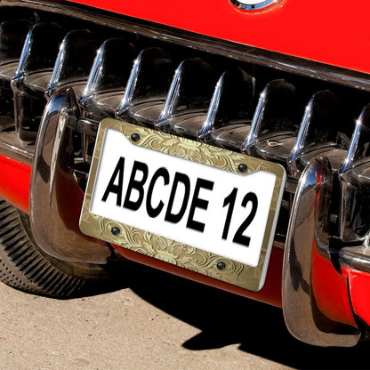 License Plate Frames with 4 Round Holes (1 Pair)