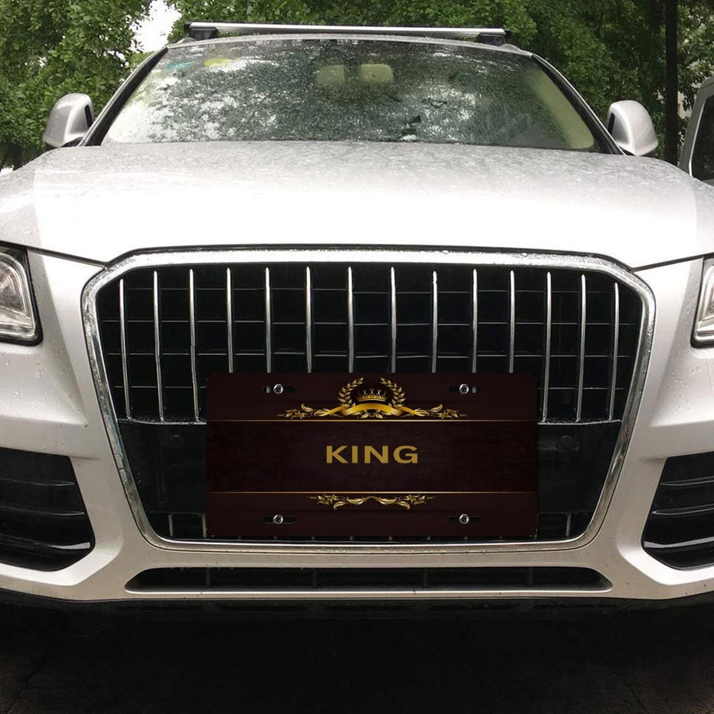 Car License Plate-11.8”x5.9”