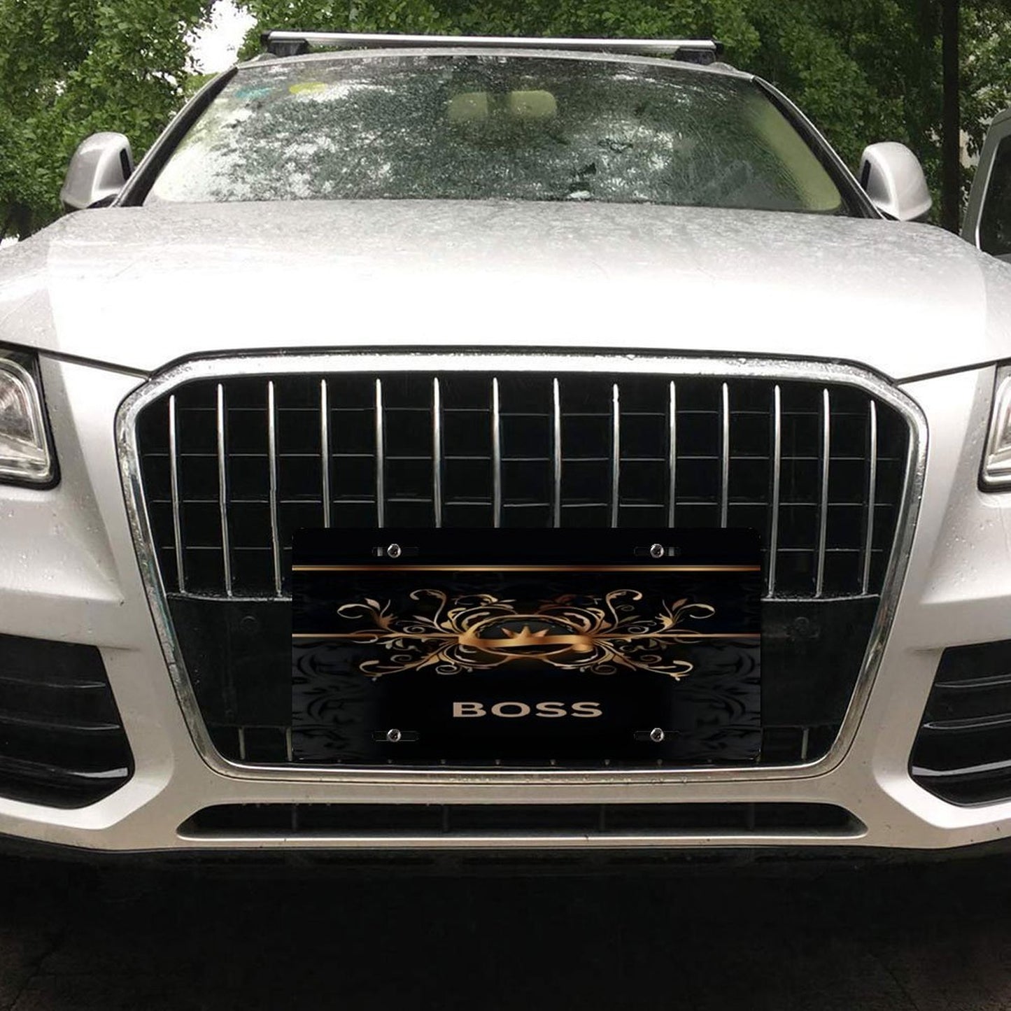 Car License Plate-11.8”x5.9”