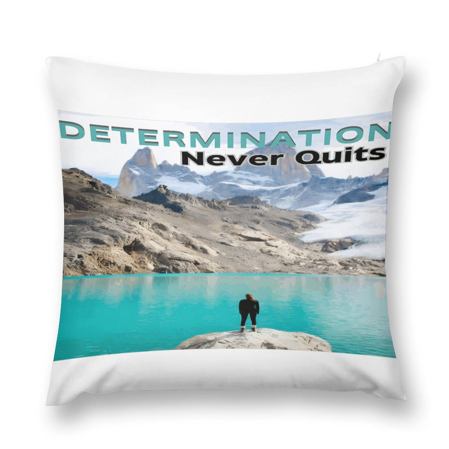 Plush Pillowcase Set of 4