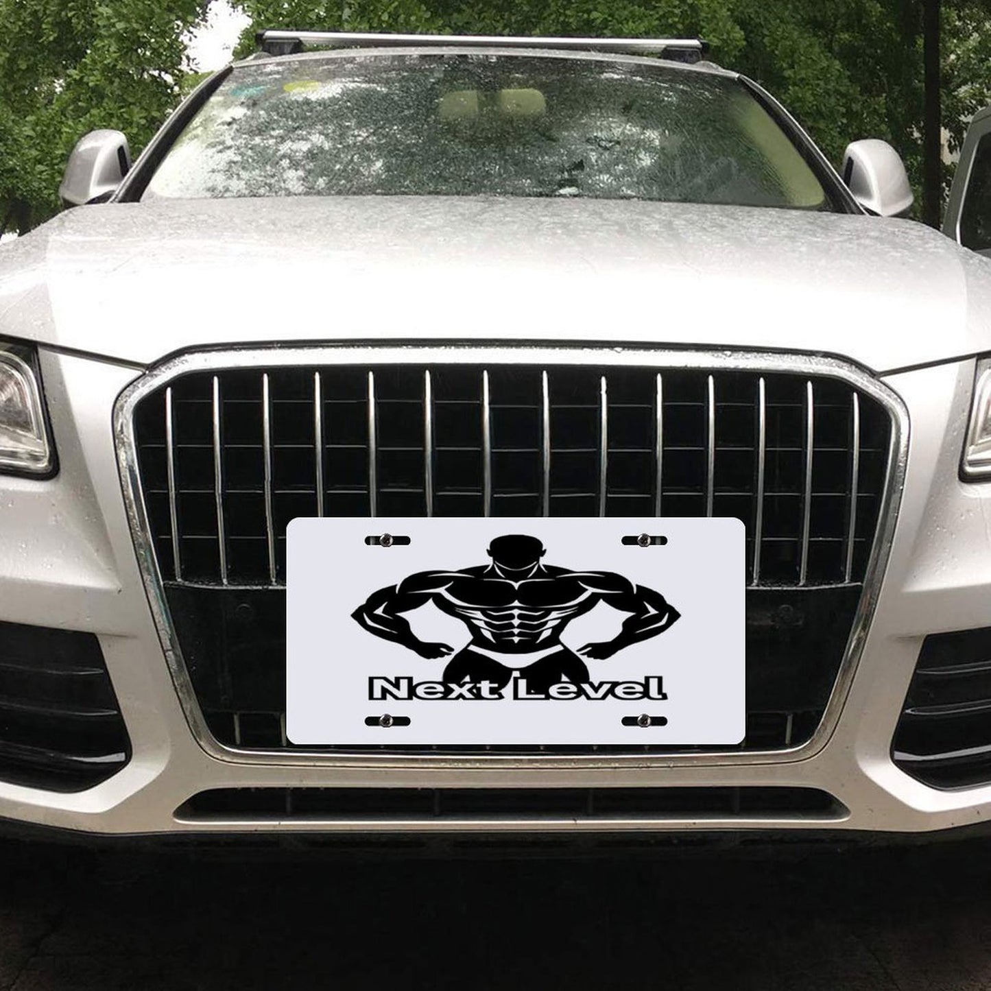 Car License Plate-11.8”x5.9”
