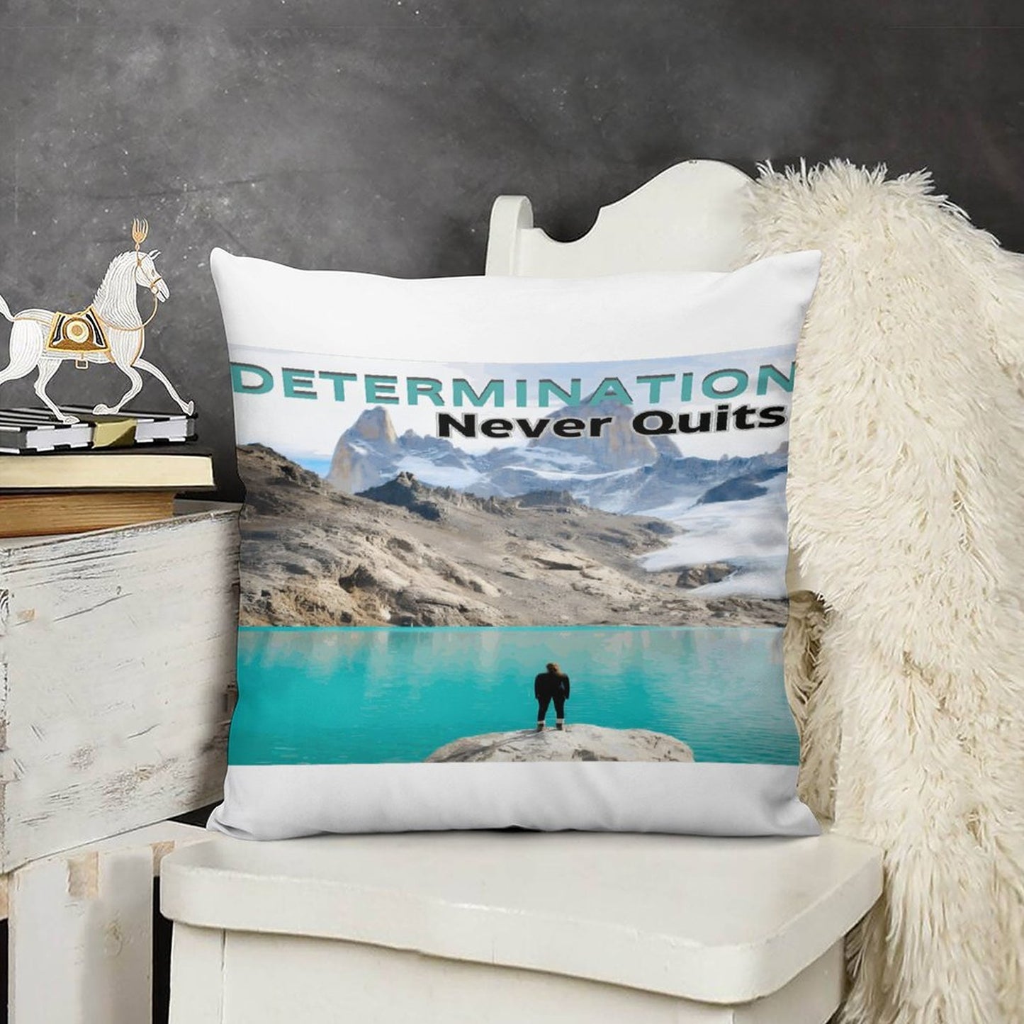 Plush Pillowcase Set of 4