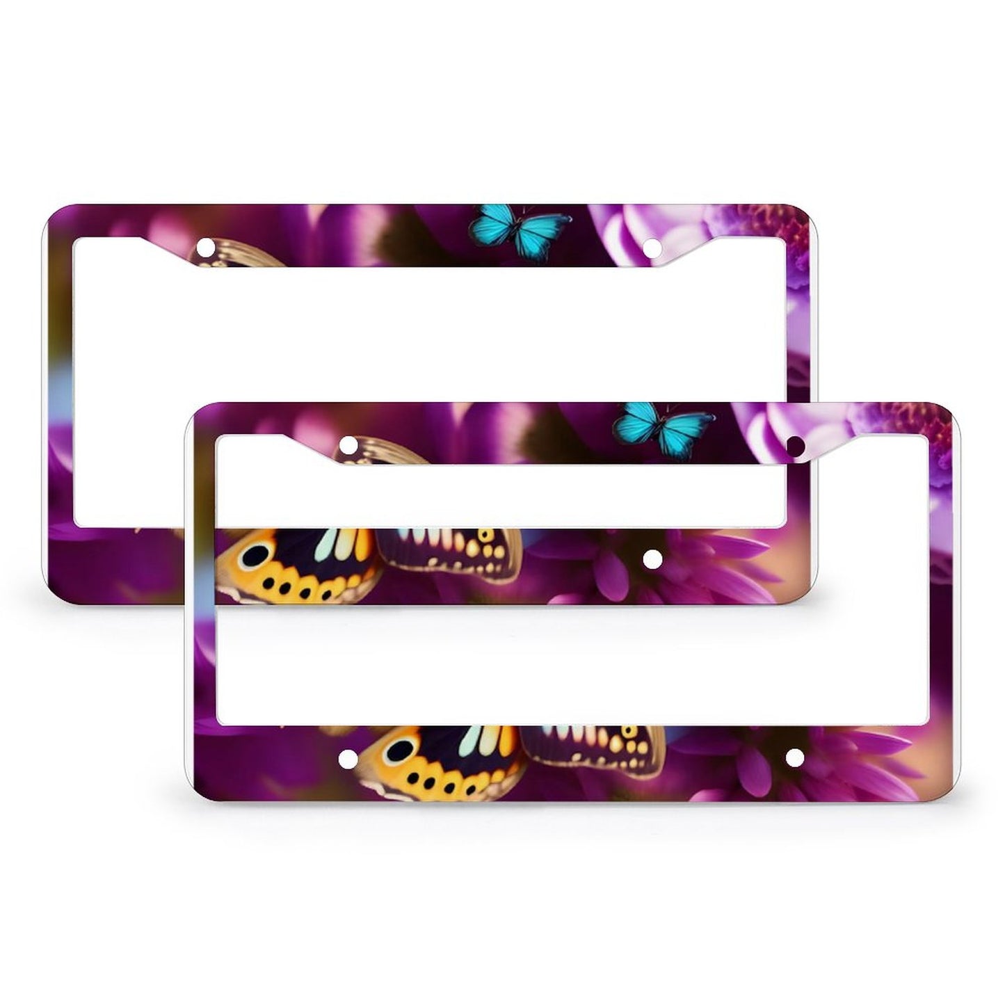 License Plate Frames with 4 Round Holes (1 Pair)