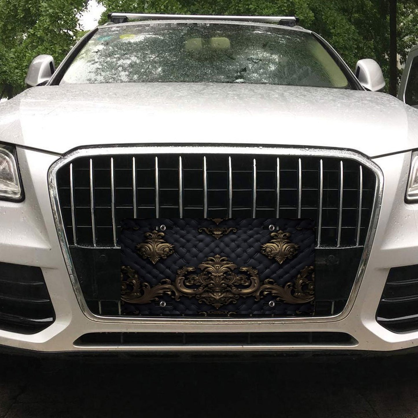 Car License Plate-11.8”x5.9”