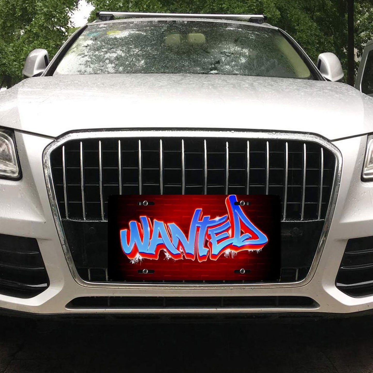 Car License Plate-11.8”x5.9”